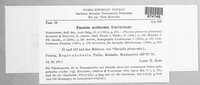 Puccinia striiformis var. striiformis image
